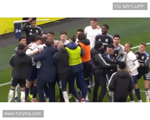 足总杯热刺大胜里昂红牌事件引发全场热议与数据分析